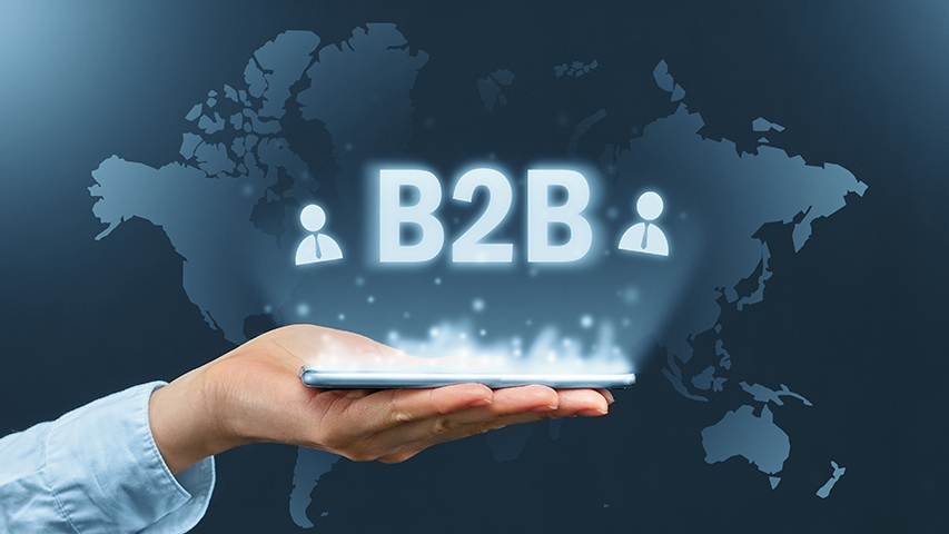 Best Practises for Qualifying your vendor base in Industrial B2B