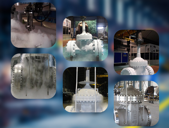 Cryogenic Valve Manufacturers & Suppliers in India