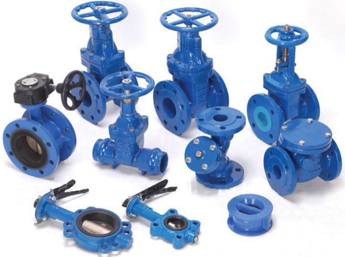 C-Way Engg Exports offer Gate Valve, Ball Valve, Butterfly Valve, Globe Valve and Check Valve. 