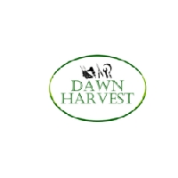Dawn Harvest  
