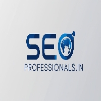 SEO Professionals