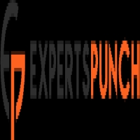Experts Punch | Embroidery Digitizing Service