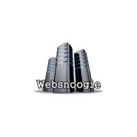 Websnoogie, LLC
