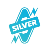 Silver Consumer Electricals Pvt Ltd.