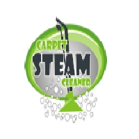 Carpet Steam Cleaner