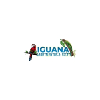 Iguana Apartmentos And Estate