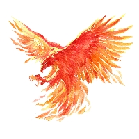 TM Investigations Inc