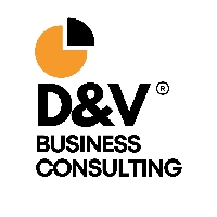 D&V Business Consulting