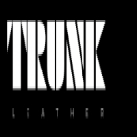 Trunk Leather