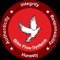 Bliss Flow Systems Private Limited 