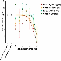 Tumor Organoid & CAF Co-culture