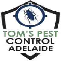 Termite Inspection Adelaide | Tom\'s Pest Control Adelaide