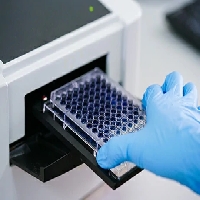 In Vitro Mouse Lymphoma Assay TK