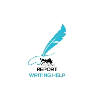 Report Writing Help 