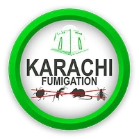 Karachi Fumigation is the best pest control provider in, Karachi.