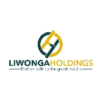 Liwonga Holdings