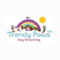Trendy Paws