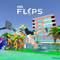 Mr Flip
